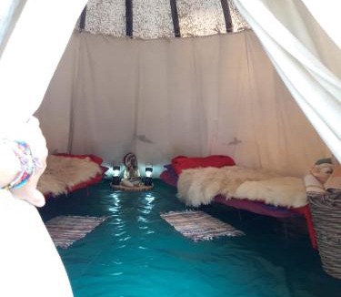 Caille Other | Tipi NCO