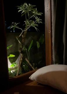 Blahbatuh Cabin | Tita Wooden House