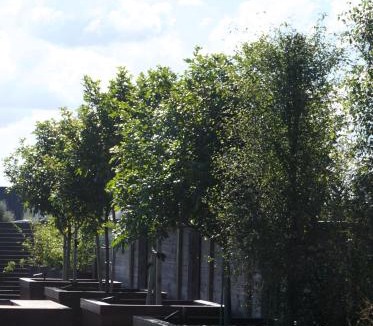 Leamington Bed & Breakfast | Titoki House - Bed and Breakfast