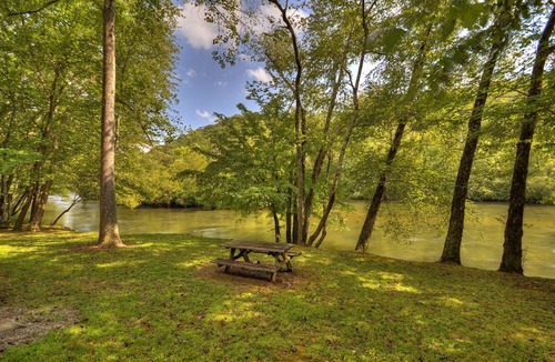 Mineral Bluff Cabin | Toccoa River Escape | River Front | Gas Grill