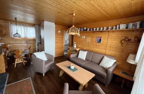 Bettmeralp Apartment | Toggi OG