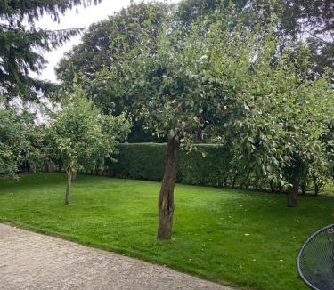 Tonder Villa | Toghale