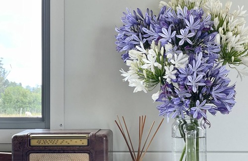 Tolaga Bay House | Tolaga Treasure