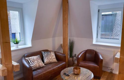 Rapperswil Apartment | Tolles Studio im Zentrum von Rapperswil