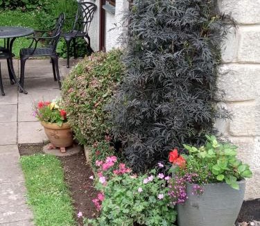 Chysauster House | Tolpedn Cottage