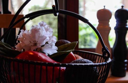 Mount Tomah Bed & Breakfast | Tomah Retreat - Studio BREATHE with fireplace