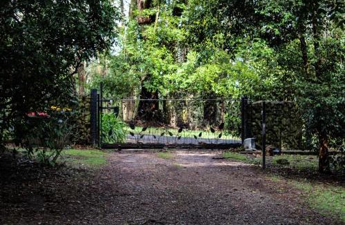 Mount Tomah Bed & Breakfast | Tomah Retreat - Studio RELAX with fireplace