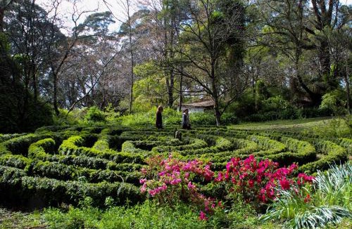 Mount Tomah Bed & Breakfast | Tomah Retreat - Studio RELAX with fireplace