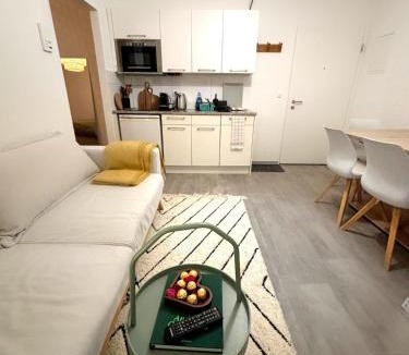 District 4 Apartment | Top Apartment in Center of Zurich