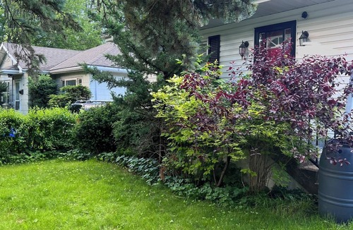 Belleville House | Top Floor Bungalow Close to Downtown