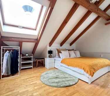 Winterthur Apartment | Top gemütliche 2,5 Zimmer Wohnung in Winterthur