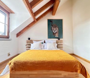 Winterthur Apartment | Top gemütliche 2,5 Zimmer Wohnung in Winterthur