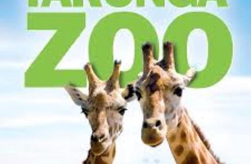 Mosman Apartment | Top Mosman Location