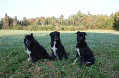 Eau Claire Bed & Breakfast | Top of Algonquin Bed and Breakfast