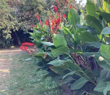 Lecelles Apartment | Topaze