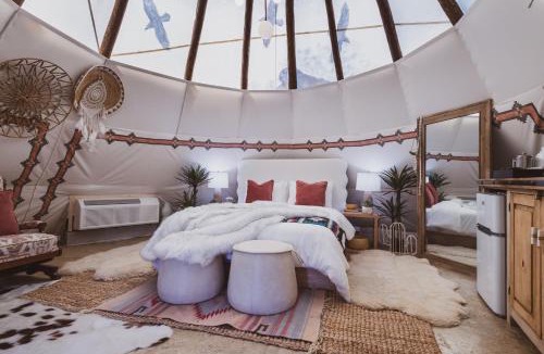 Nogal Other | Toro Tipi at El Mistico Ranch