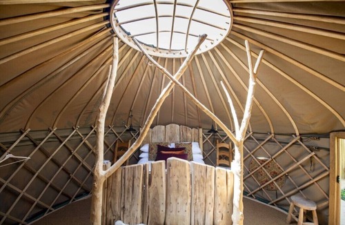 Watchet Other | Torre Cider Farm