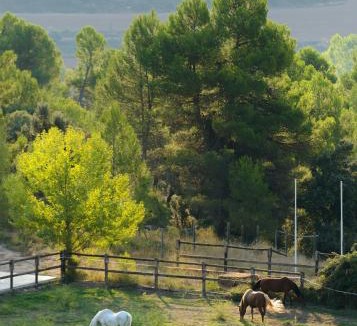 Monroyo Hotel | Torre del Marqués Hotel Spa & Winery - Small Luxury Hotels