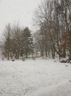 Padborg House | Toscana Restaurant and Bed & Breakfast