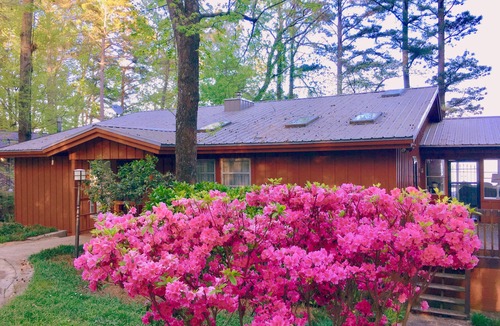 Scottsboro House | TOTAL RENOVATION: On Main Channel: Bass Fishing & Family Fun: Kayaks, canoe