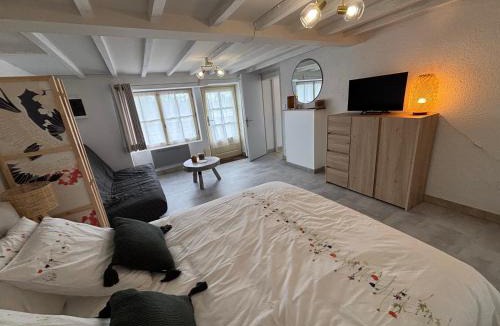 Chaumont-sur-Loire House | Toue de Loire