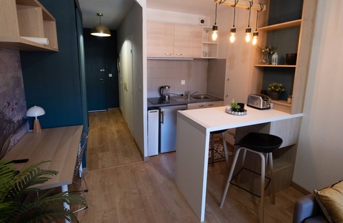 Compans-Caffarelli Apartment | Toulouse Centre Tbs School Jardin Japonais