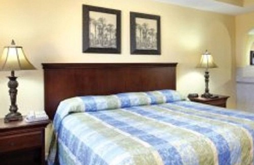 Pompano Beach Resort | Tour the Everglades!