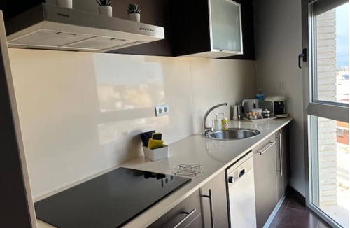 Amposta Apartment | Tourist and vacation apartment. Lo balconet del Delta.