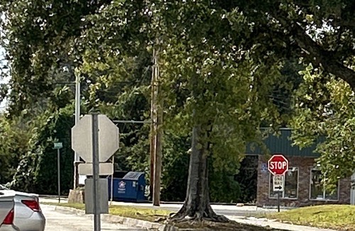 Bayou Cane House | . Townhome in Houma Louisiana. Second largest Mardi Gras in the U. S.