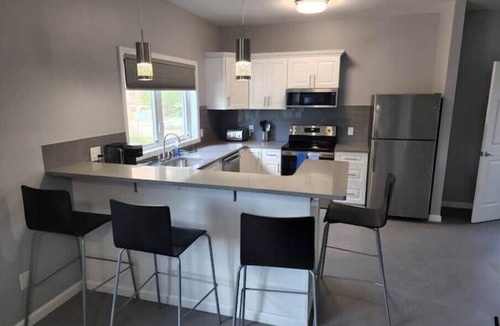 Downtown Niagara Falls House | Townhomes at the Falls - 310 A lower - Buffalo Aven2 Blocks from the Falls!