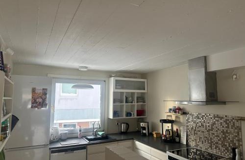 Aalborg Midtby Apartment | Townhouse with free parking