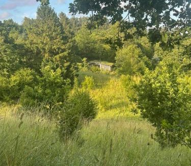 Rebild Municipality House | Træhytte På 1,9 Hektar Fredet Natur Ved Rebild