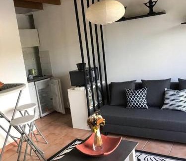 Boisset-et-Gaujac Apartment | Très beau T2 dans mas .