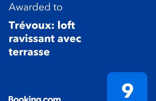 Trevoux Apartment | Trévoux: loft ravissant avec terrasse