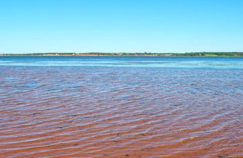 York House | Tracadie Cottages