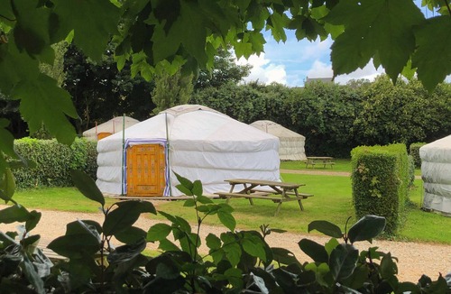Plouenan Cabin | Traditional Mongolian yurt near Roscoff (sleeps up to 4)
