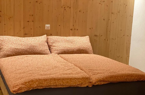 Meiringen Ski Chalet | Traditional Swiss Chalet renovated 2022