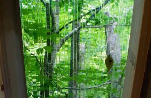 Rock Hill House | Trails Head Tiny House