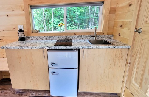Dorchester Apartment | Trailside Stays - Tiny House in the Woods-Escape to Nature. Snow Owl