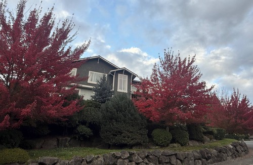 Newcastle House | Tranquil 1-bedroom space Newcastle