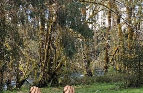 Sappho House | Tranquil Cabin 4 “Cedar” | Riverside | Near Olympic NP