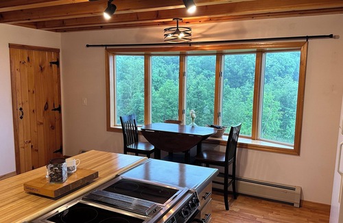 Sonestown Cabin | Tranquil cabin with WiFi in charming Muncy Valley