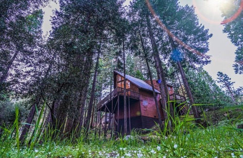Kyburz Cabin | Tranquil Creek Retreat: Serenity Escape, King Bed