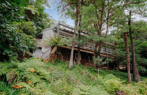 Belgrave House | Tranquil hideaway in the rainforest