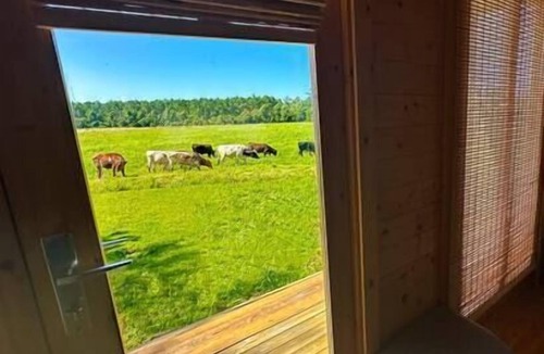Smyrna Cabin | Tranquil Modern Farm Cabin