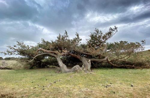Vejby House | Tranquil Retreat in Rageleje-By Traum
