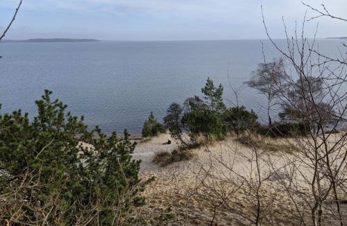 Vejle House | Tranquil Retreat near Beach