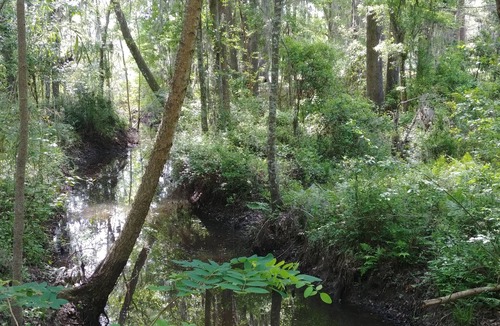 Hardeeville Cottage | Tranquil Savannah River Cottage w/Views+Breakfast