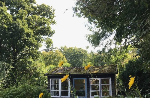 New Forest District Cottage | Tranquil & stylish cottage in Minstead, New Forest
