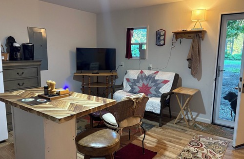 Greenbush Cabin | Tranquil tiny cabin situated in private wooded setting. Hiking trail and firepit
